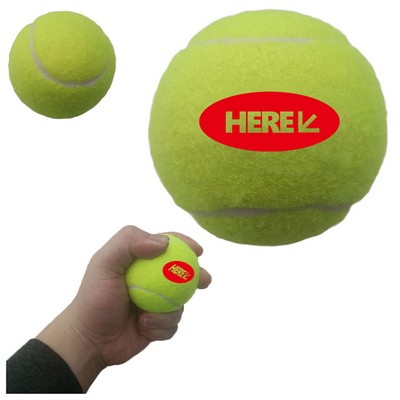 Training Tennis Ball