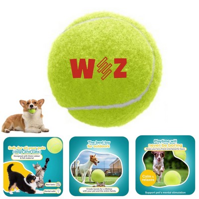 Tennis Balls for Pet Playing Fecth