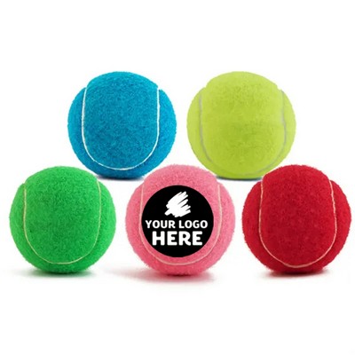 Squeaky Tennis Ball Dog Toy - Fun Fetch & Chew Play